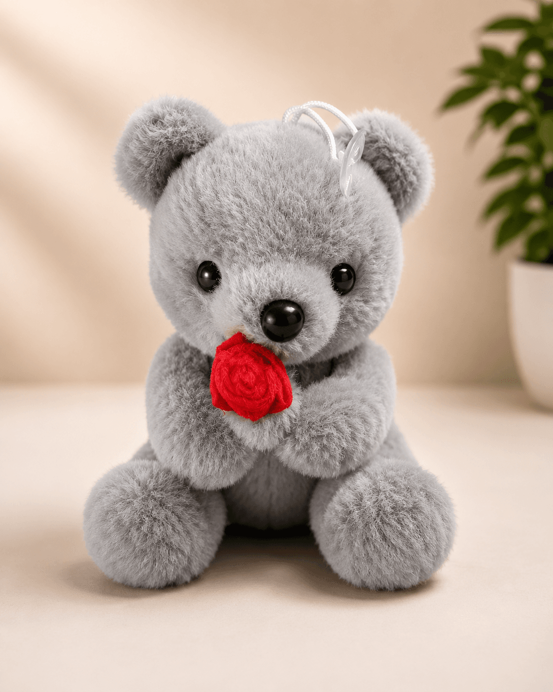 Gray Love Teddy with Red Heart 🤍❤️